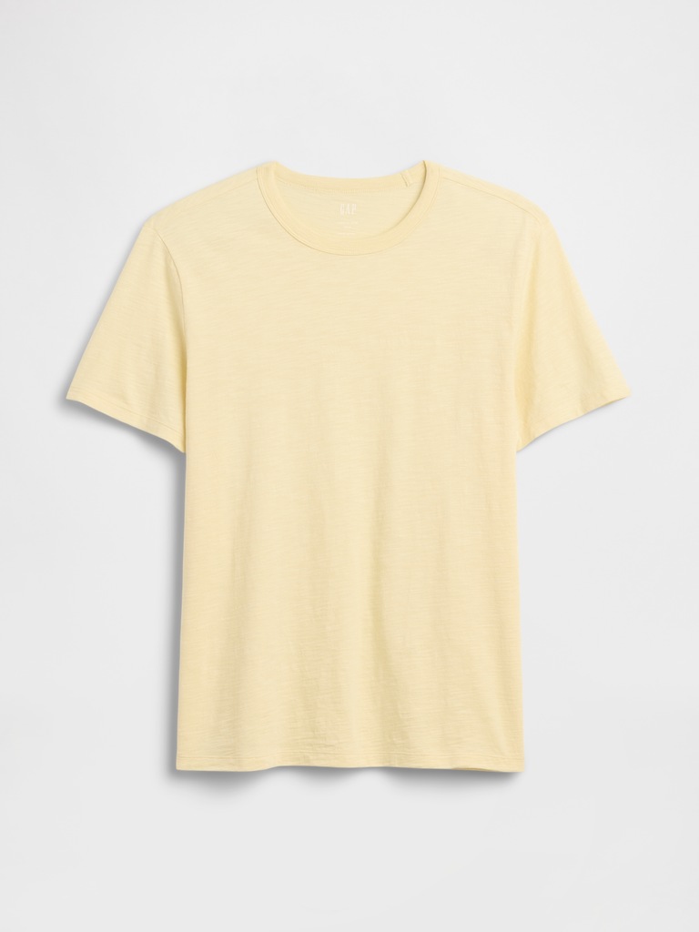 Lived-In Crewneck T-Shirt