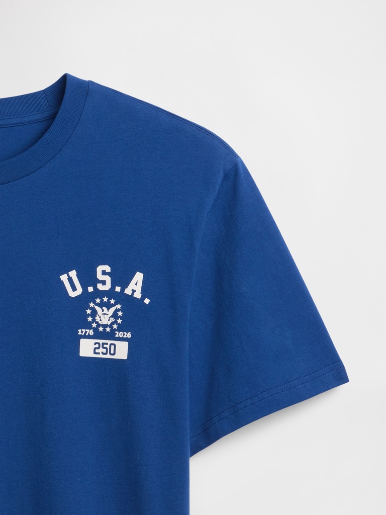 Everyday Soft Relaxed USA Graphic T-Shirt