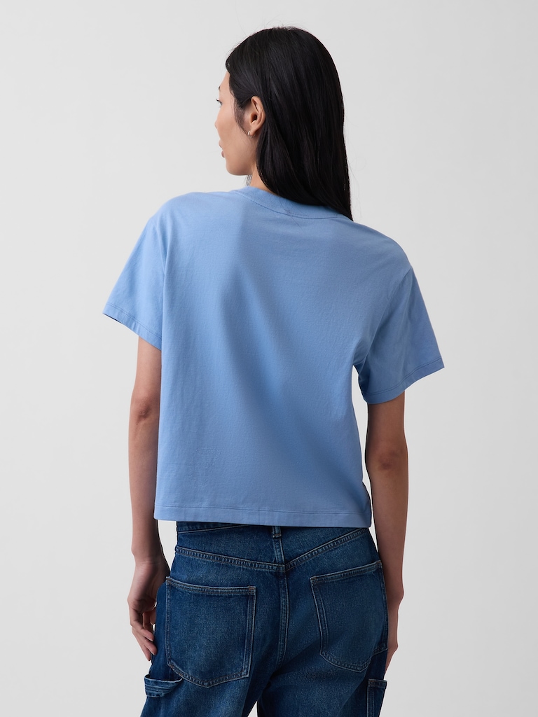Organic Cotton VintageSoft Relaxed T-Shirt