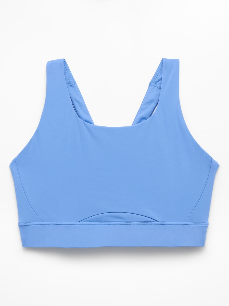 Interval Sports Bra D-DD