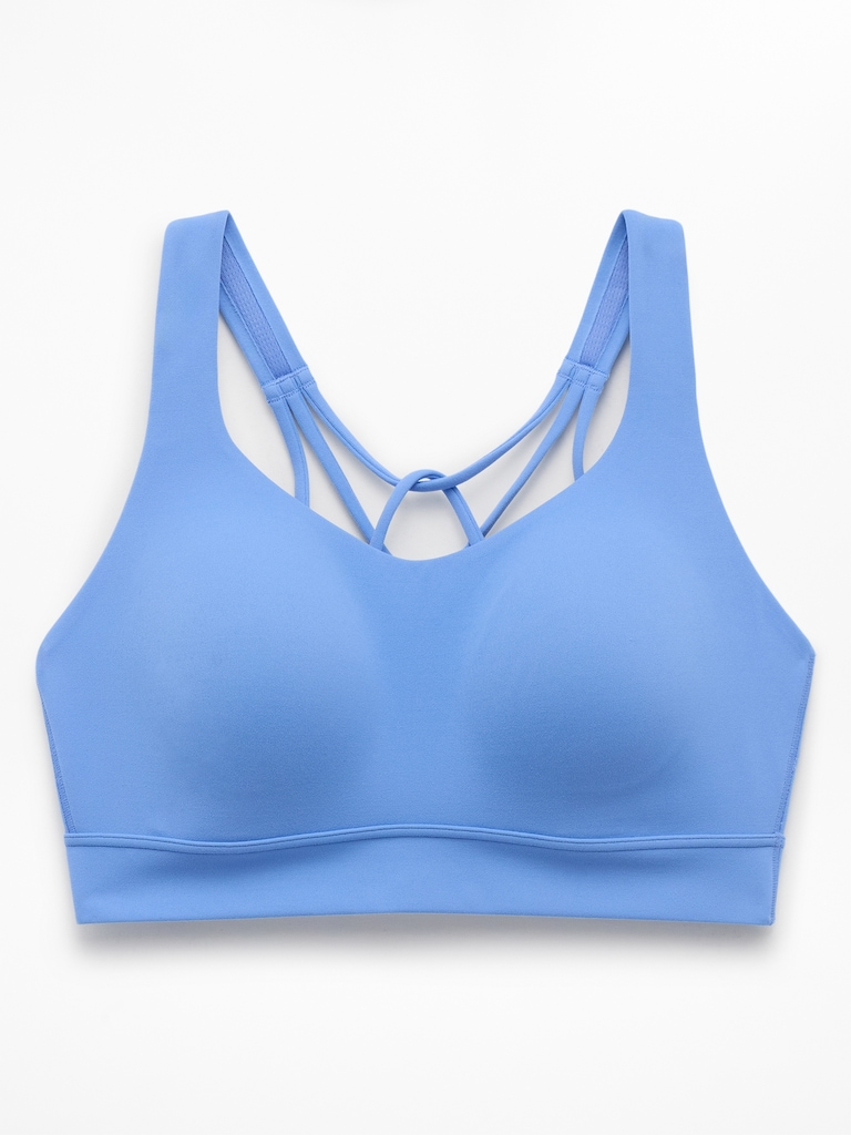 Perfect Form Sports Bra D-DD