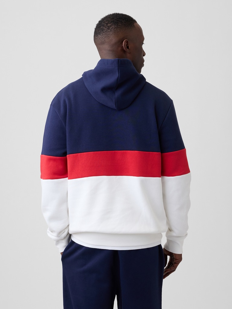 Relaxed Gap Logo Colorblock Hoodie