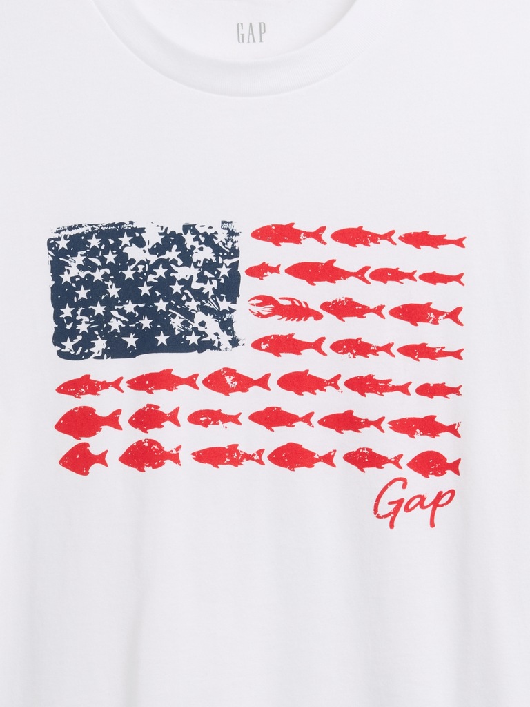Everyday Soft Relaxed Americana Graphic T-Shirt
