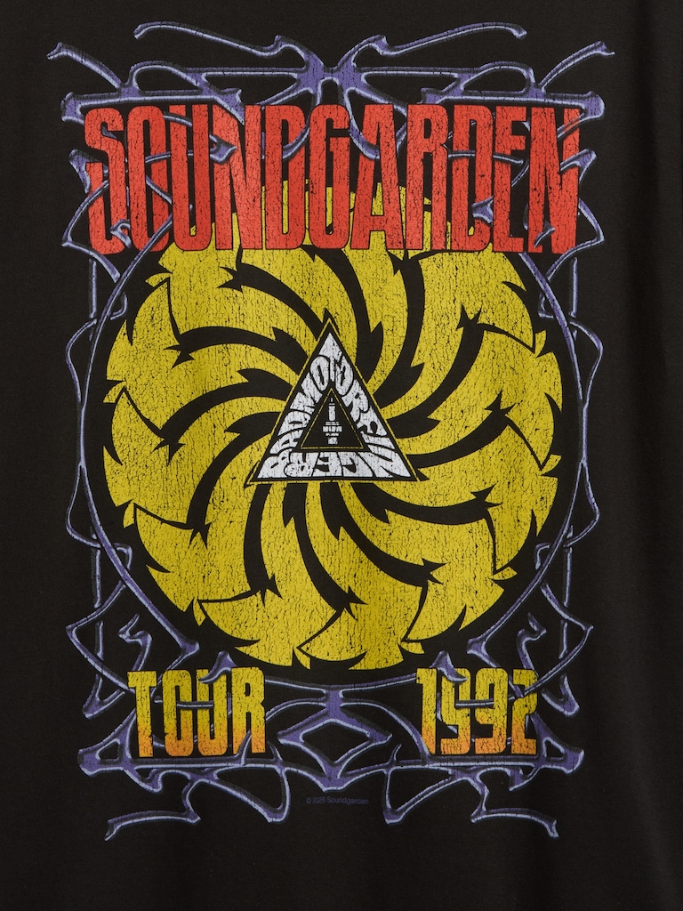 Soundgarden Heavyweight Crop Graphic T-Shirt