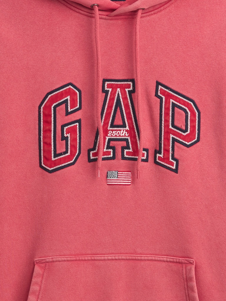 VintageSoft Oversized Americana Logo Hoodie