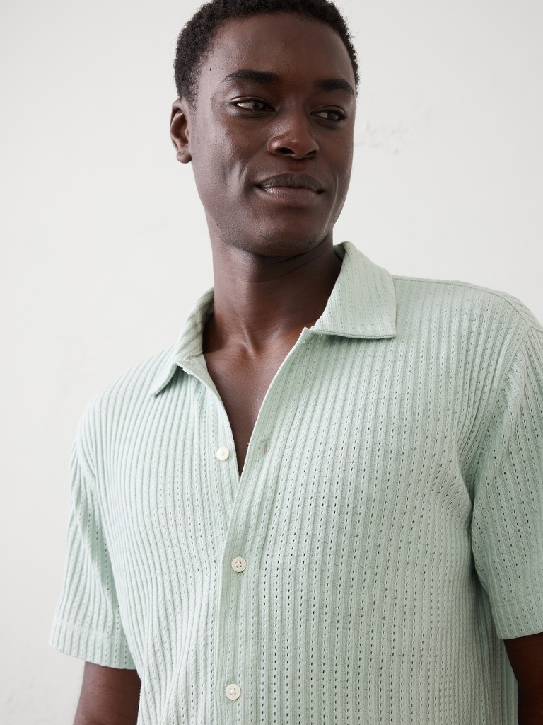 Standard-Fit Pointelle Button-Down Polo