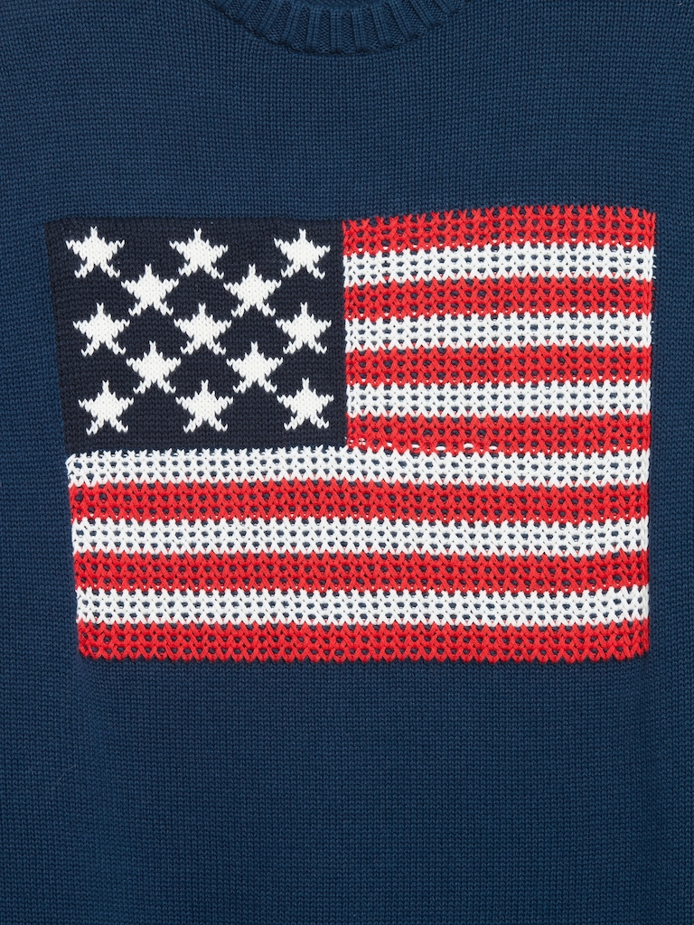 Crew-Neck Flag Sweater
