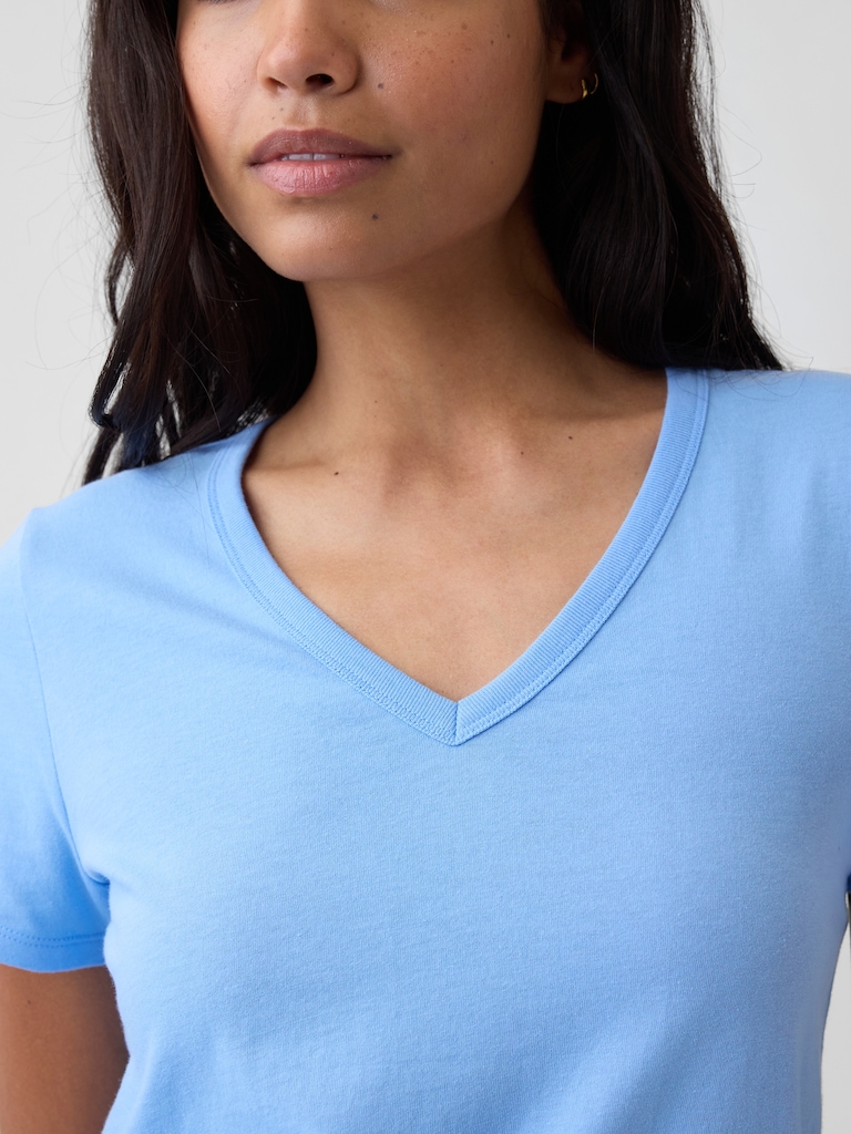 Favorite V-Neck T-Shirt