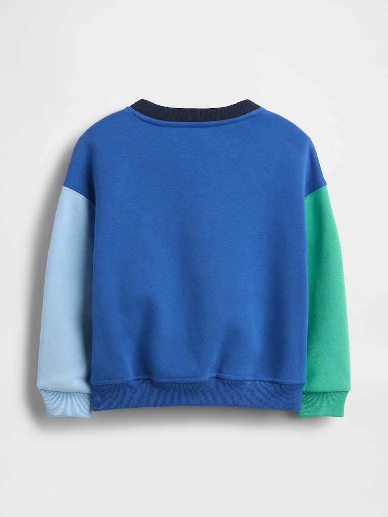 Baby & Toddler VintageSoft Colorblock Sweatshirt
