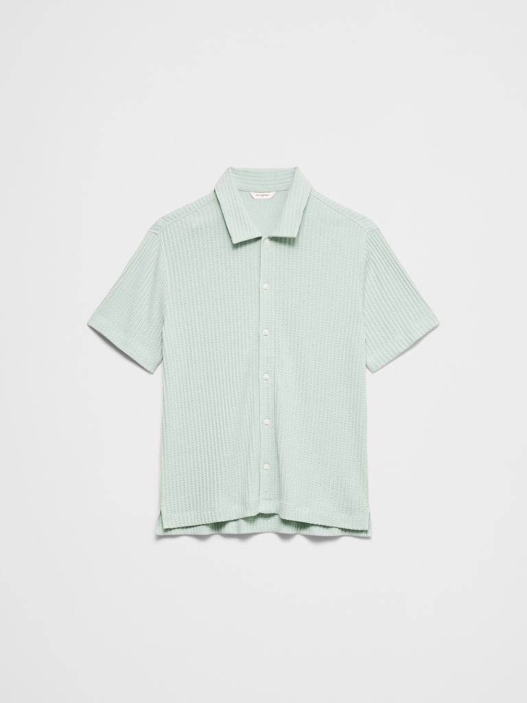 Standard-Fit Pointelle Button-Down Polo