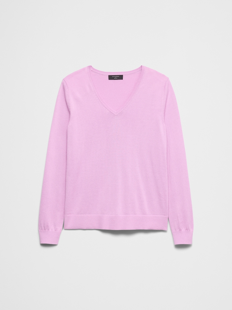 Forever V-Neck Sweater