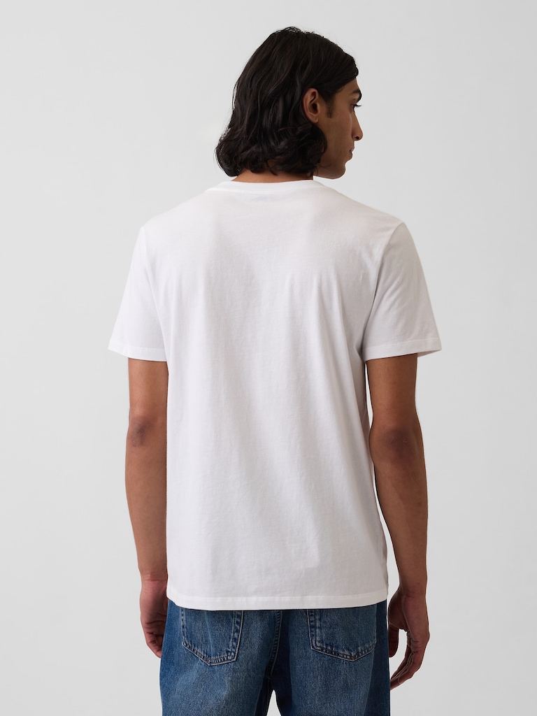 Cotton Jersey V-Neck T-Shirt