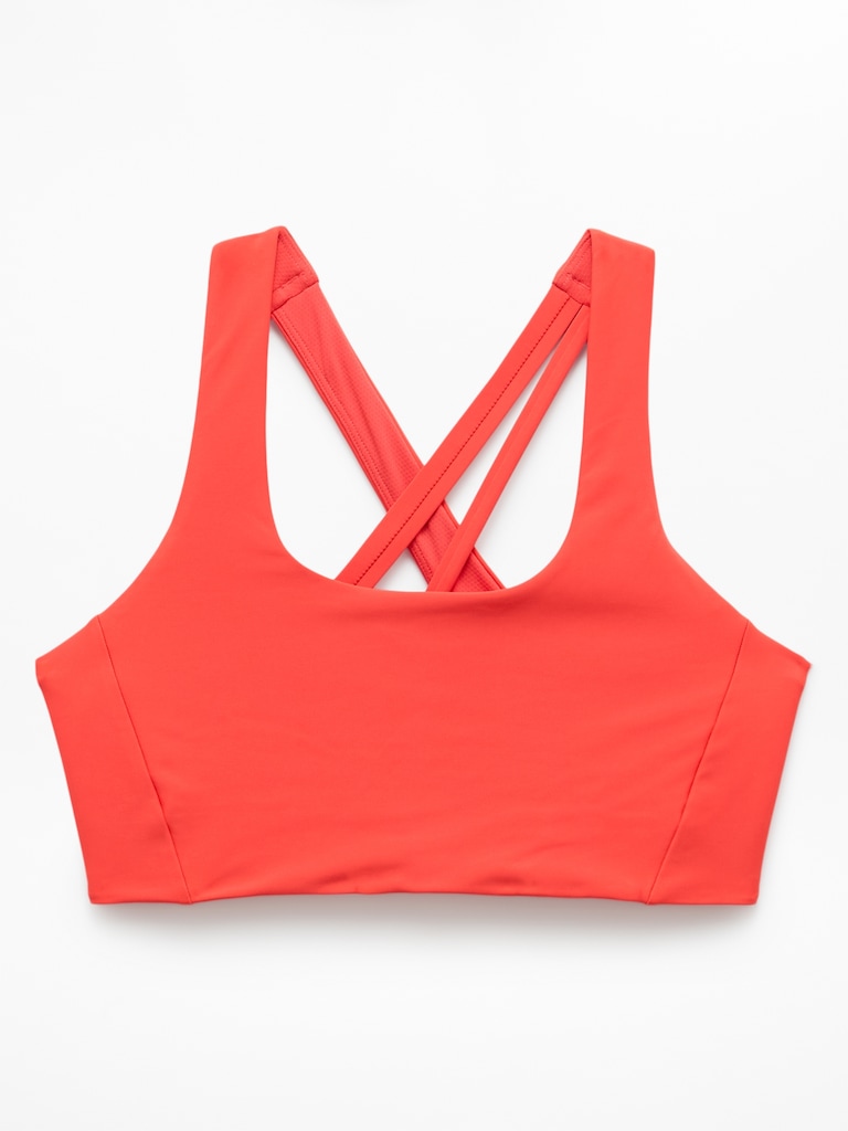 Circuit Train Sports Bra D-DD