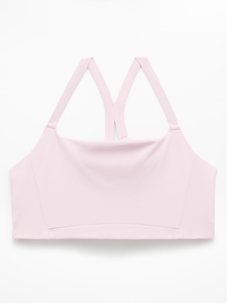 Invigorate Sports Bra D-DD
