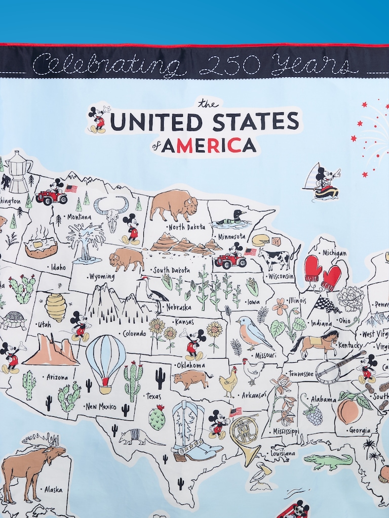 Old Navy x Disney Picnic Blanket for the Family