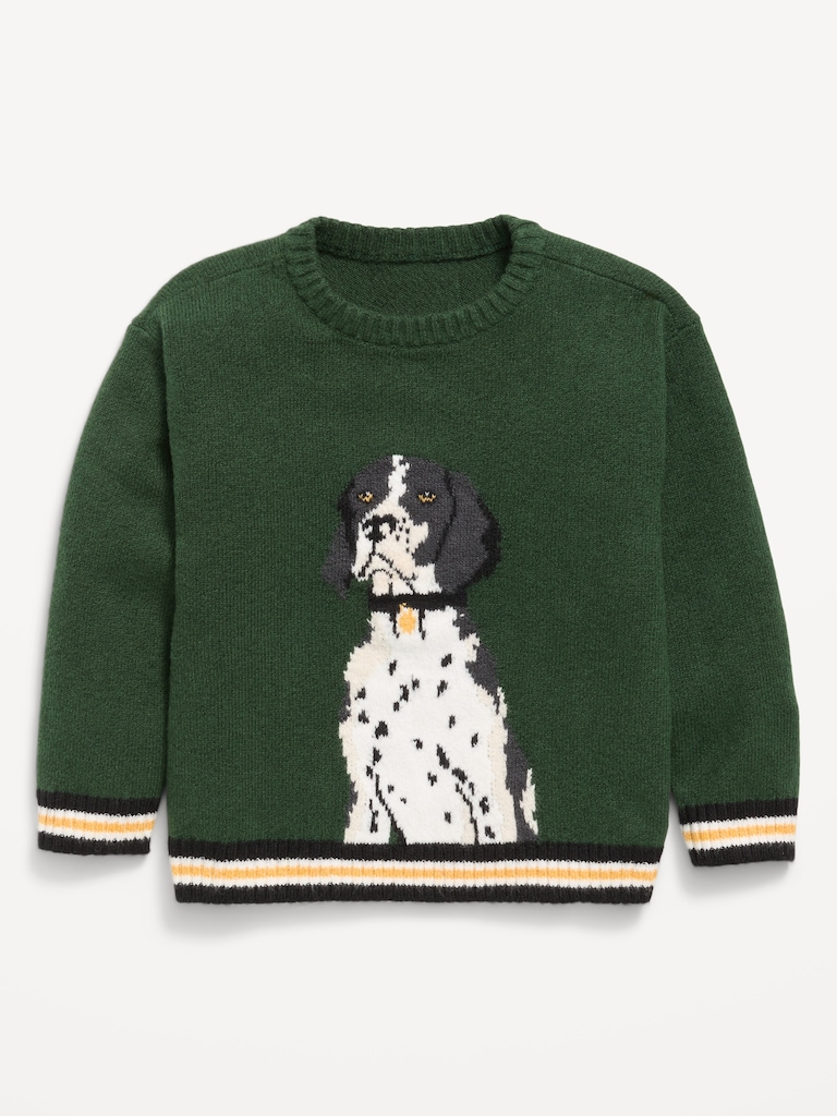 SoSoft Oversized Graphic Sweater for Toddler Boys