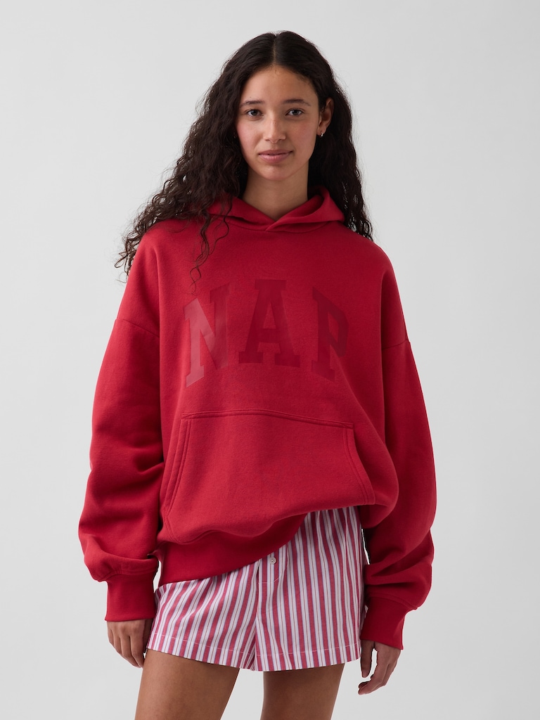 Adult VintageSoft NAP Logo Hoodie
