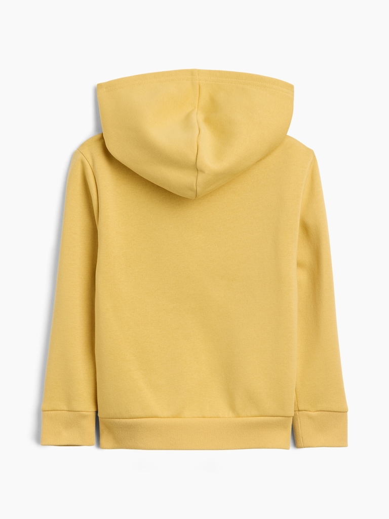 babyGap Fleece Zip Hoodie