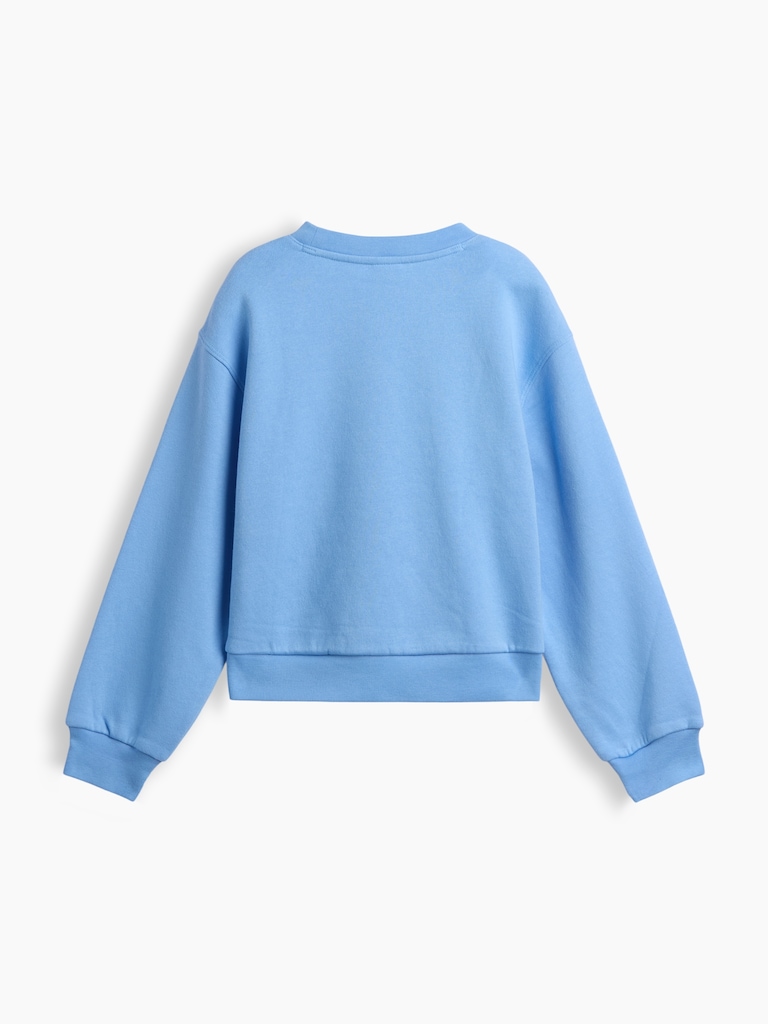 Kids Relaxed Wedge Crewneck Sweatshirt