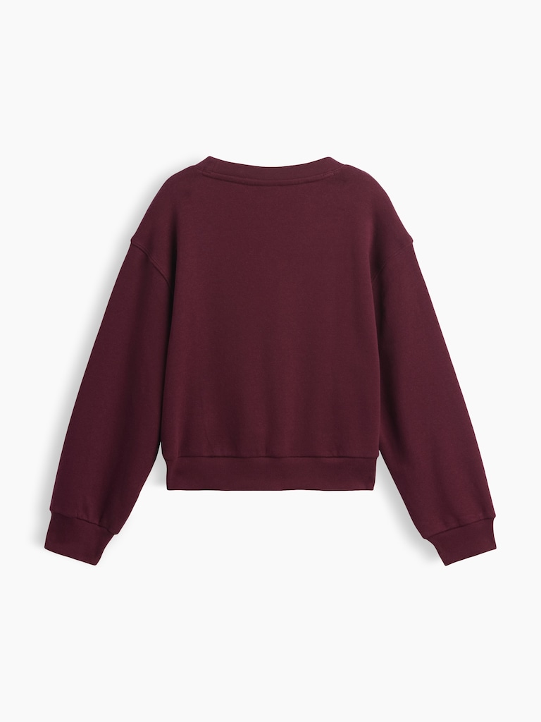 Kids Relaxed Wedge Crewneck Sweatshirt