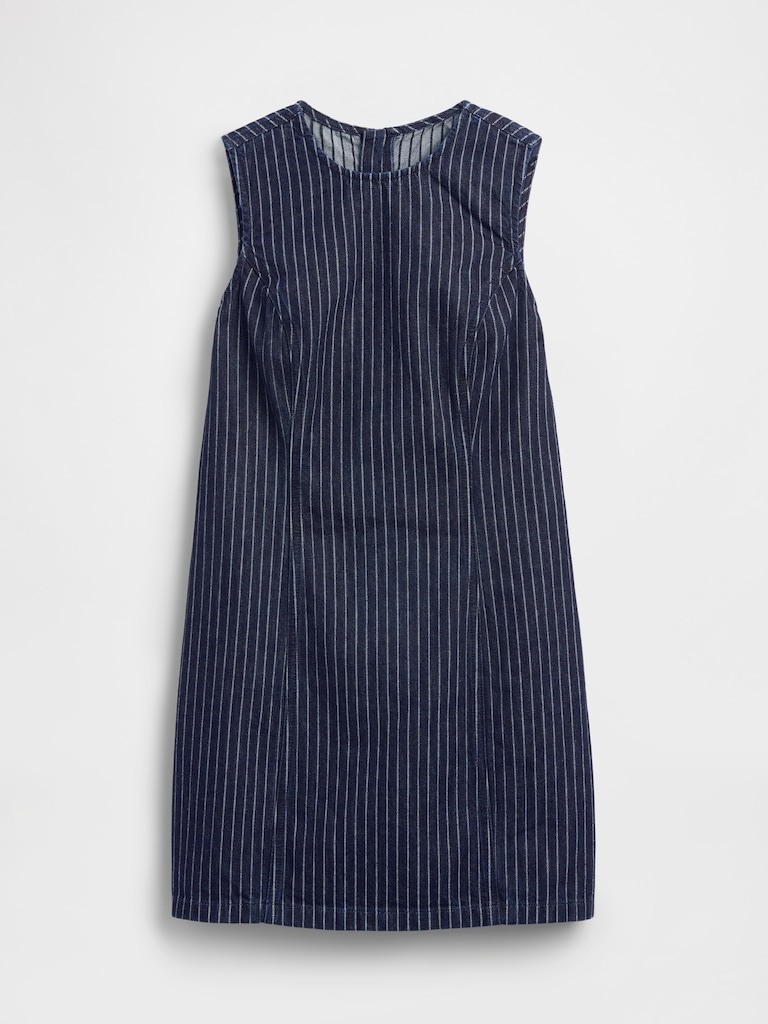 Sleeveless Stripe Denim Mini Dress