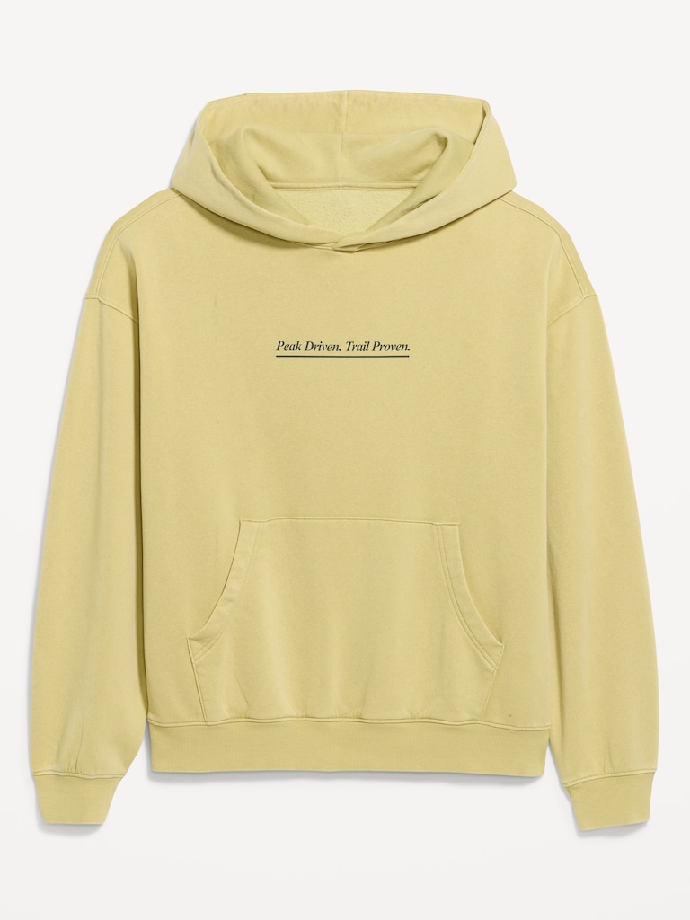 Lived-In Pro Hoodie