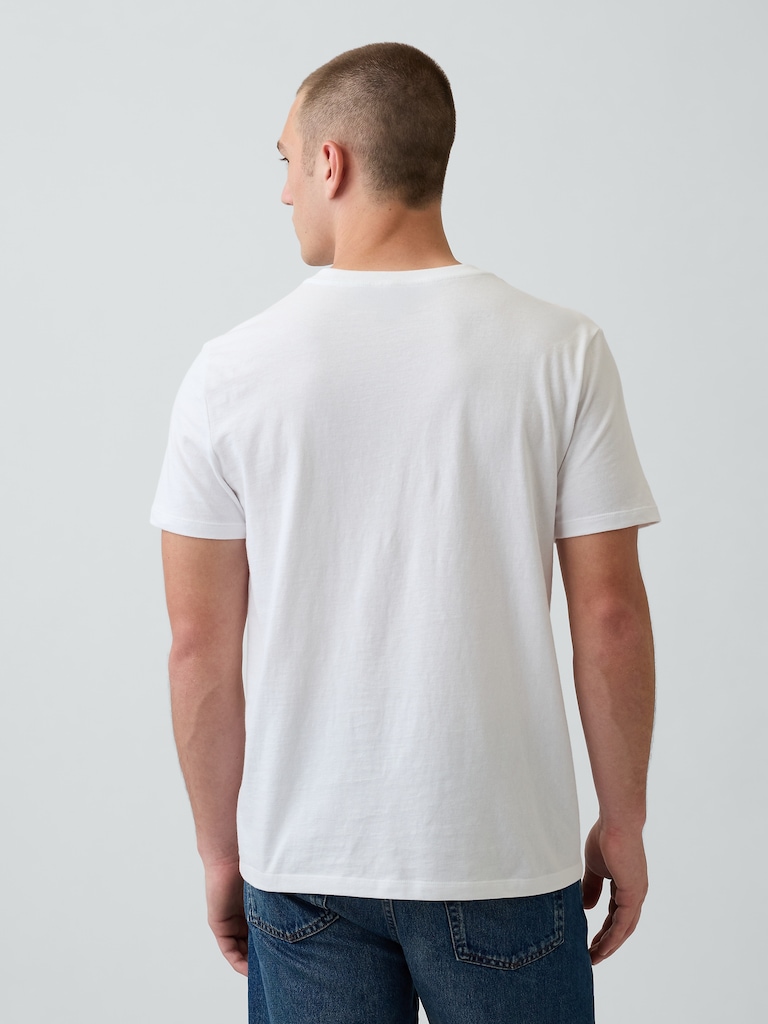 Cotton Jersey V-Neck T-Shirt