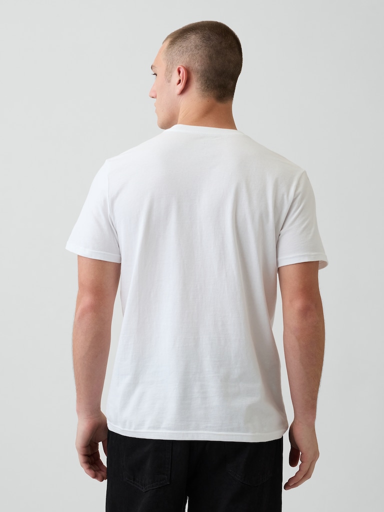 Adult Organic Cotton Pocket T-Shirt