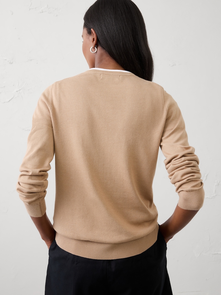 Forever V-Neck Sweater