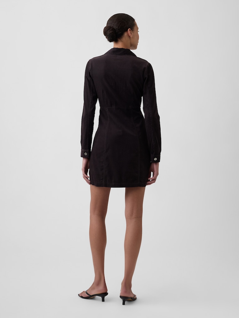 Fitted Collared Mini Dress