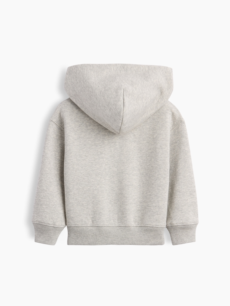 Baby & Toddler VintageSoft Logo Zip Hoodie