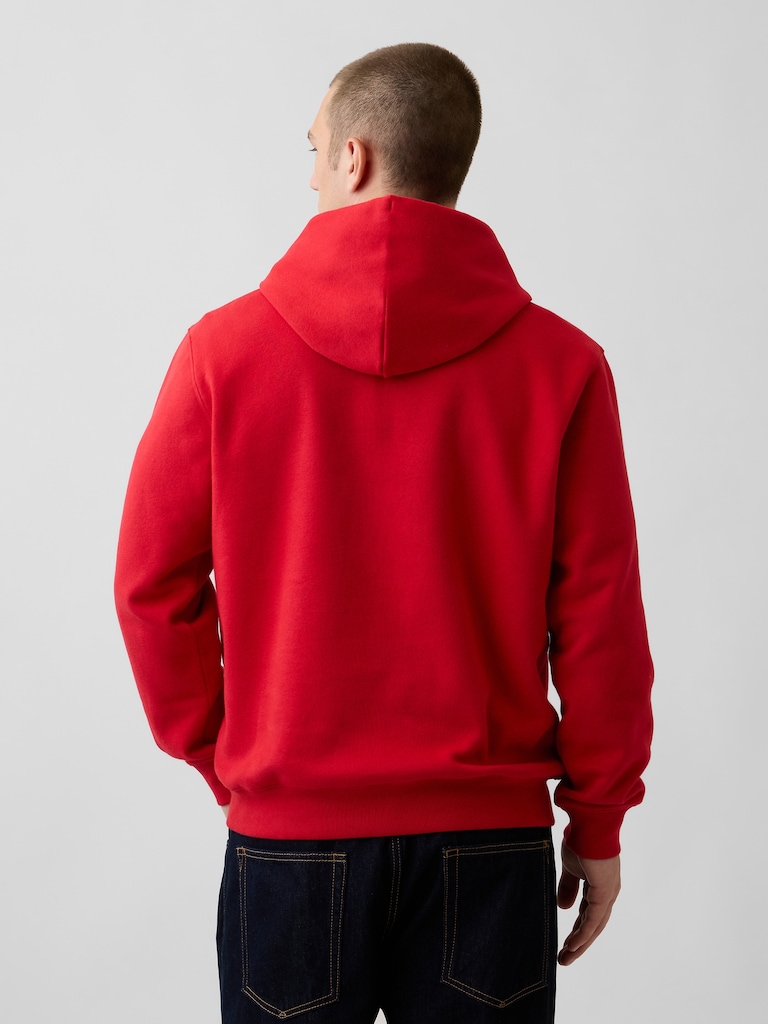 Adult VintageSoft Arch Logo Hoodie