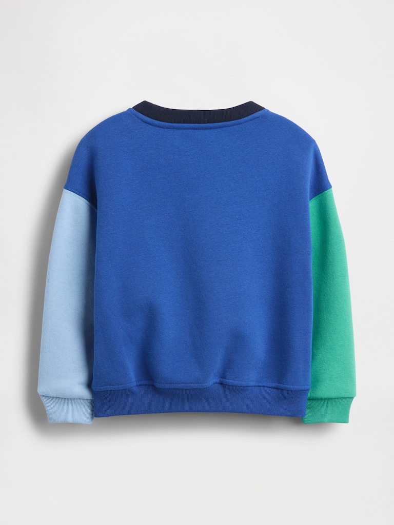 Baby & Toddler VintageSoft Colorblock Sweatshirt