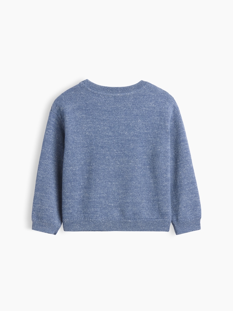 Baby & Toddler Crewneck Sweater