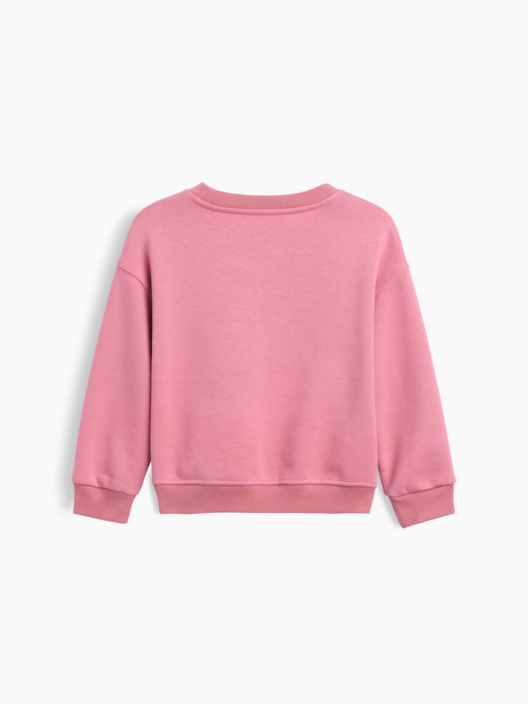 Baby & Toddler VintageSoft Graphic Sweatshirt