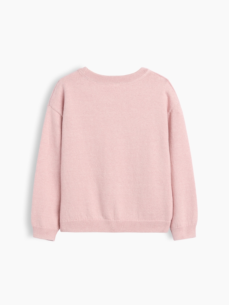 Baby & Toddler Crewneck Sweater