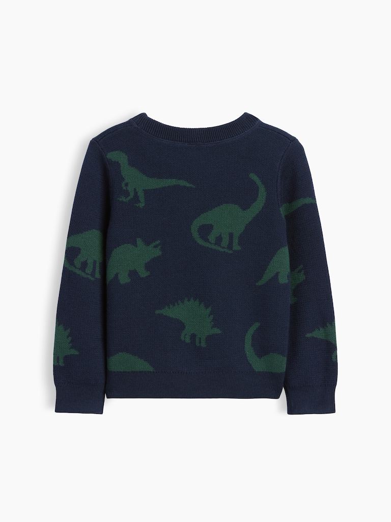 Baby & Toddler Crewneck Sweater