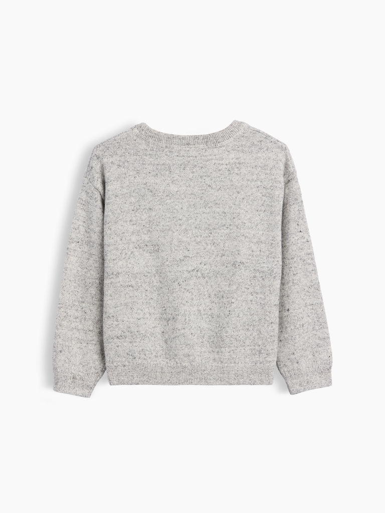 Baby & Toddler Crewneck Sweater