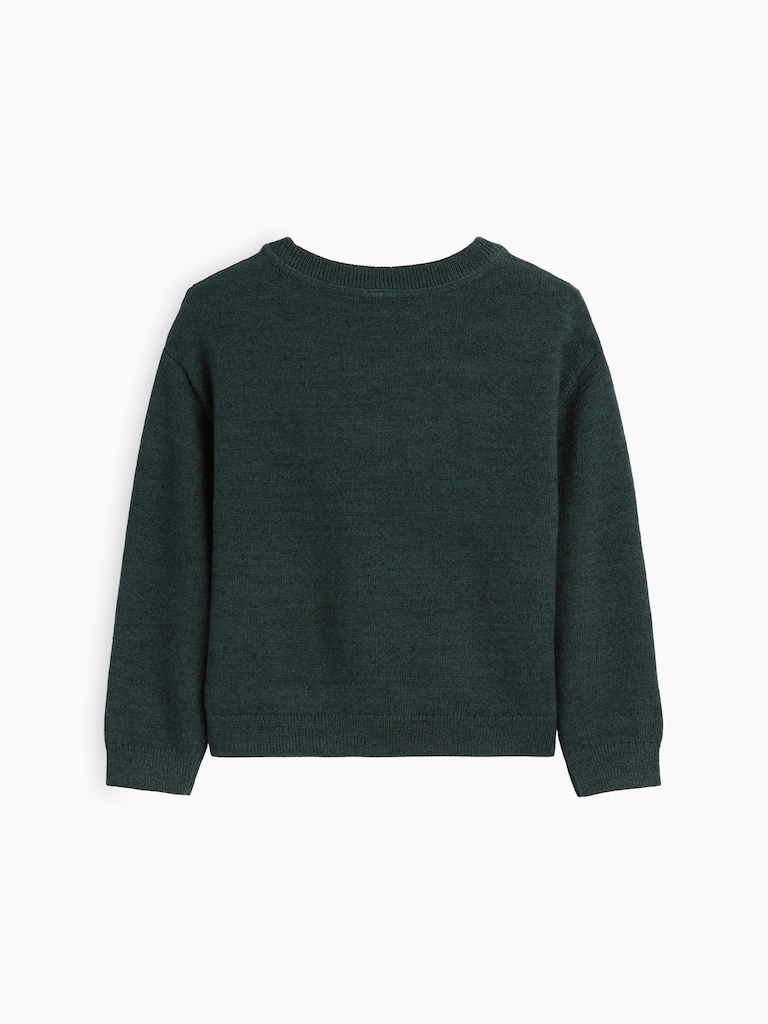 Baby & Toddler Crewneck Sweater