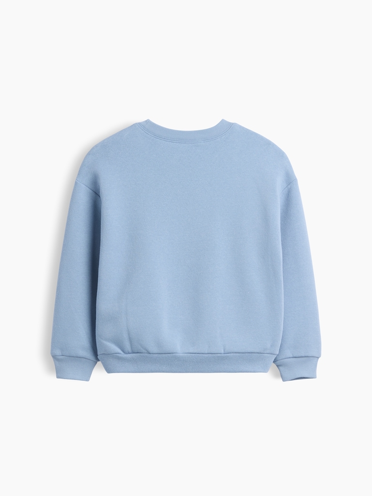 babyGap Crewneck Sweatshirt