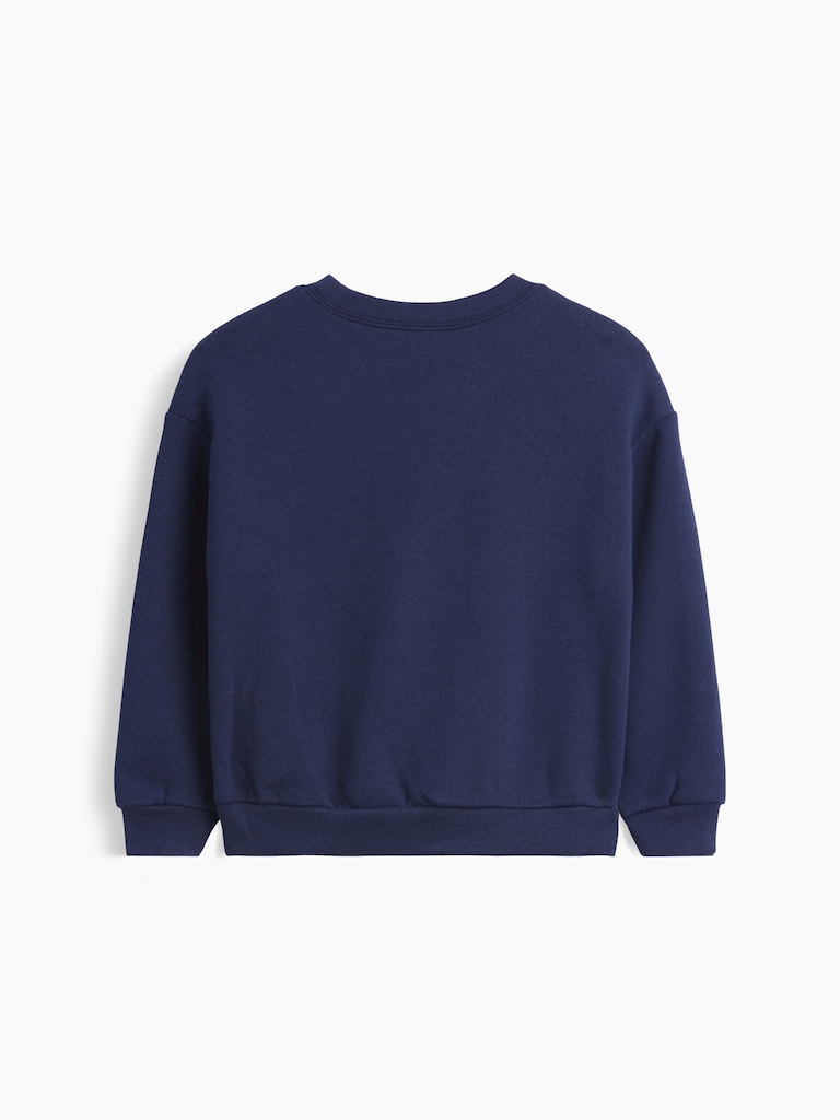 babyGap Crewneck Sweatshirt