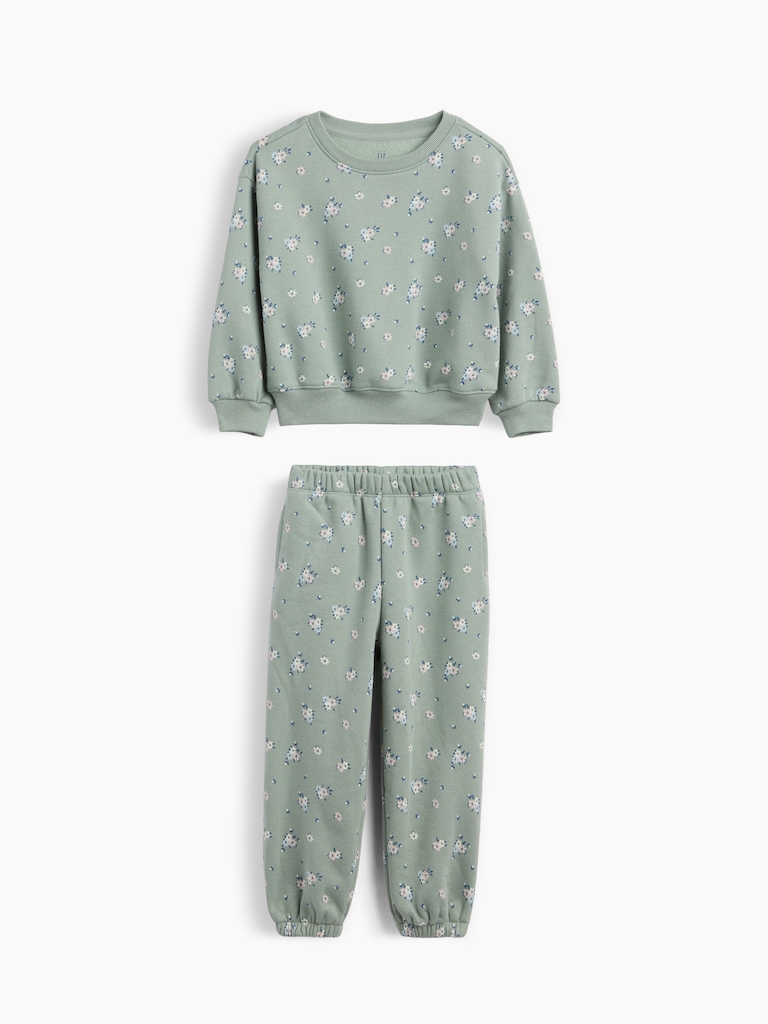 Baby & Toddler VintageSoft Floral Sweat Set