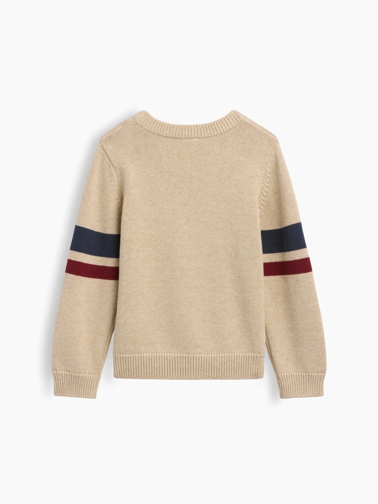 Baby & Toddler Crewneck Sweater