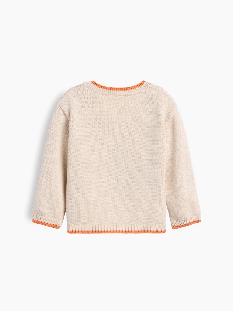 Baby Brannan Bear Pumpkin Sweater