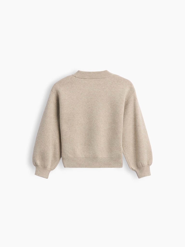 Baby & Toddler Crew Sweater
