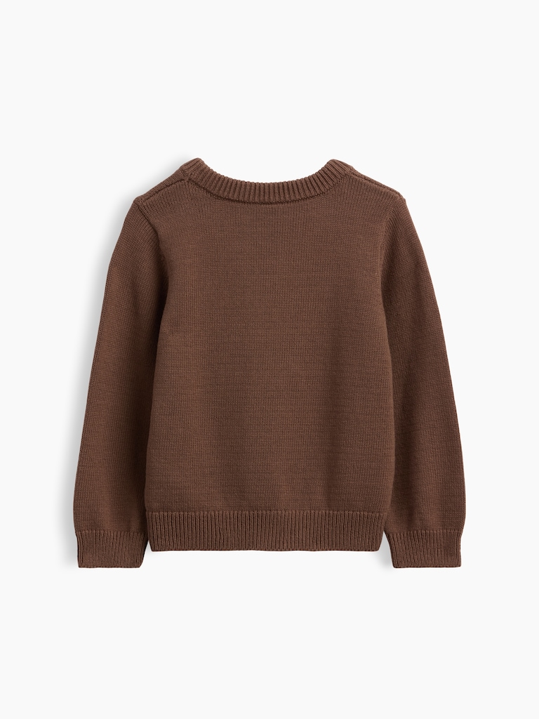 Baby & Toddler Crewneck Sweater