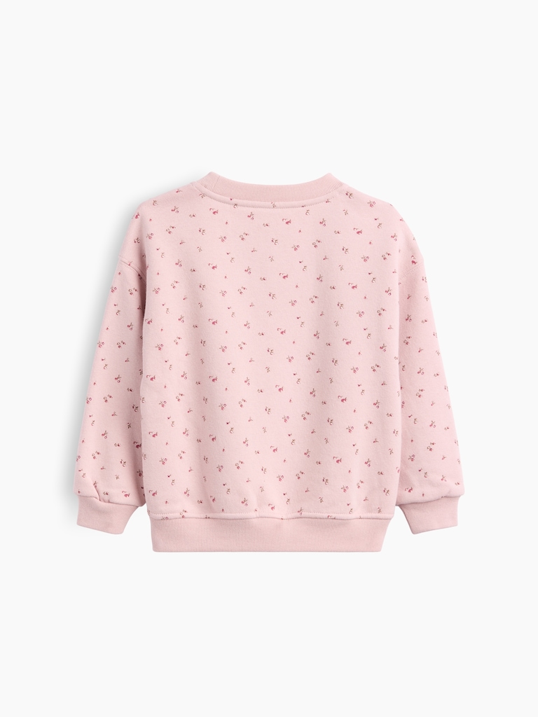Baby & Toddler VintageSoft Print Sweatshirt