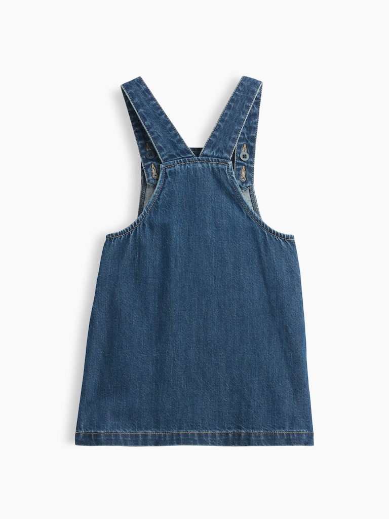 Baby & Toddler Embroidered Denim Skirtall