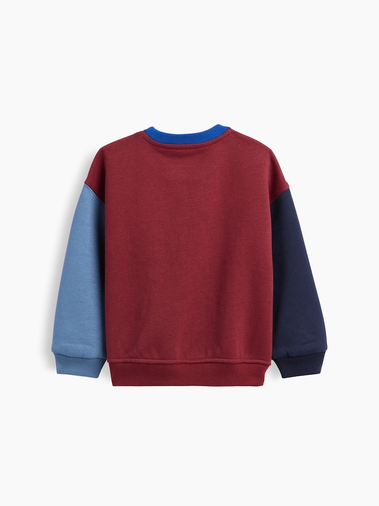 Baby & Toddler VintageSoft Colorblock Sweatshirt