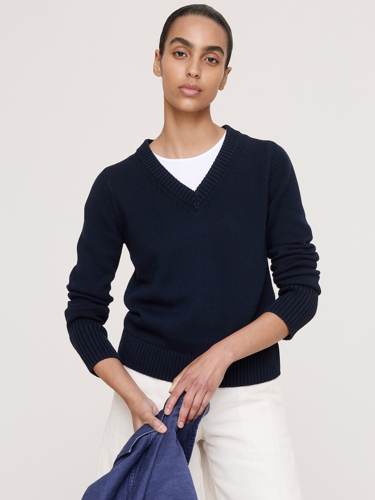 Larkspur Cotton-Silk V-Neck Sweater